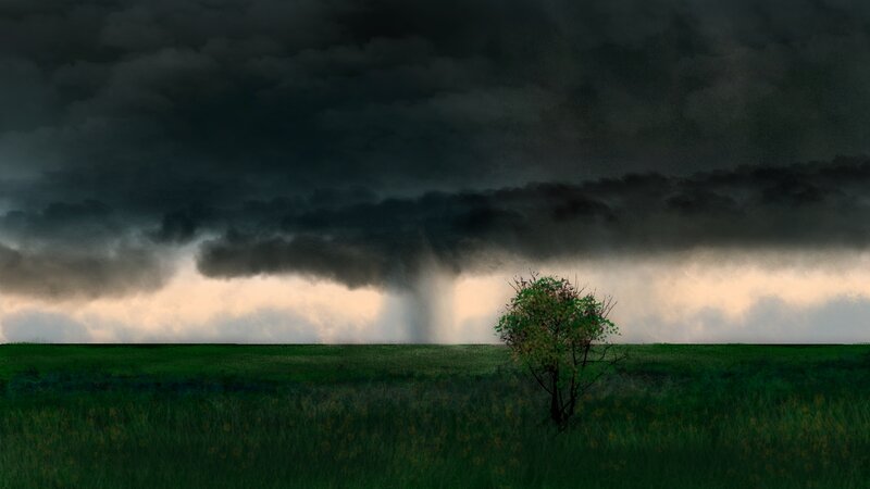 Tree in Stormy Field — Green