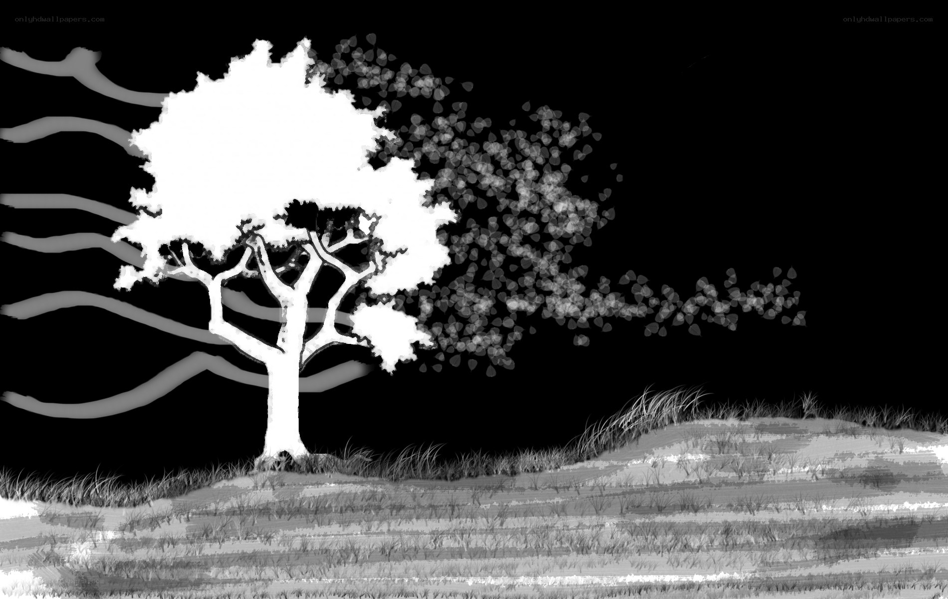 tree in the wind