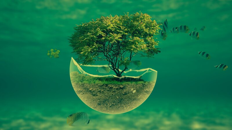 Tree in Underwater Sphere
