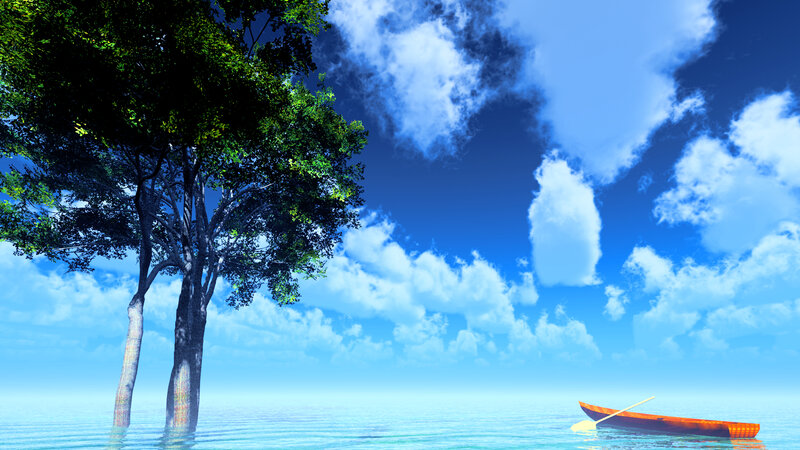 Tree in Water with Boat