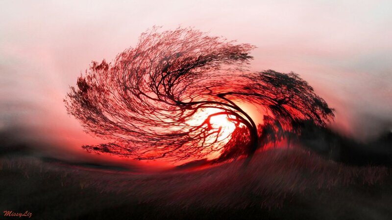 Tree in Wind Storm