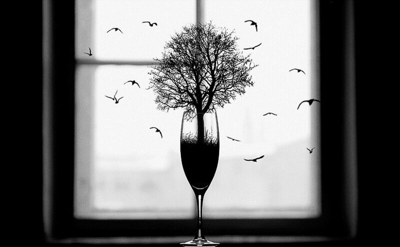 Tree in Wine Glass