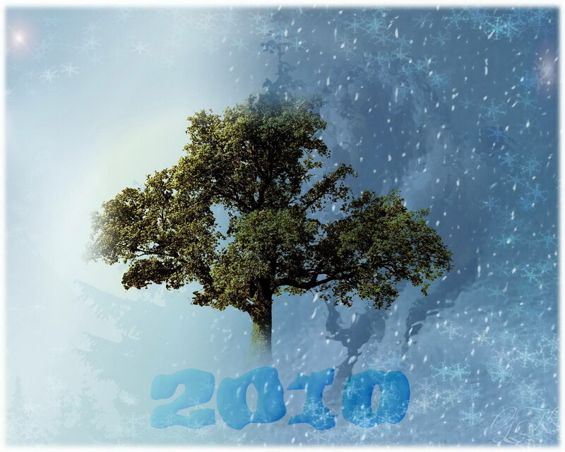 Tree in winter snow
