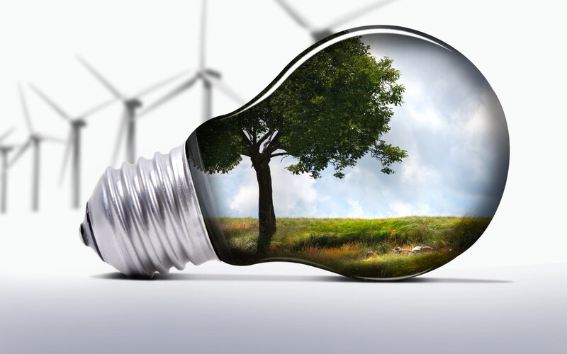 Tree Inside Light Bulb — Green