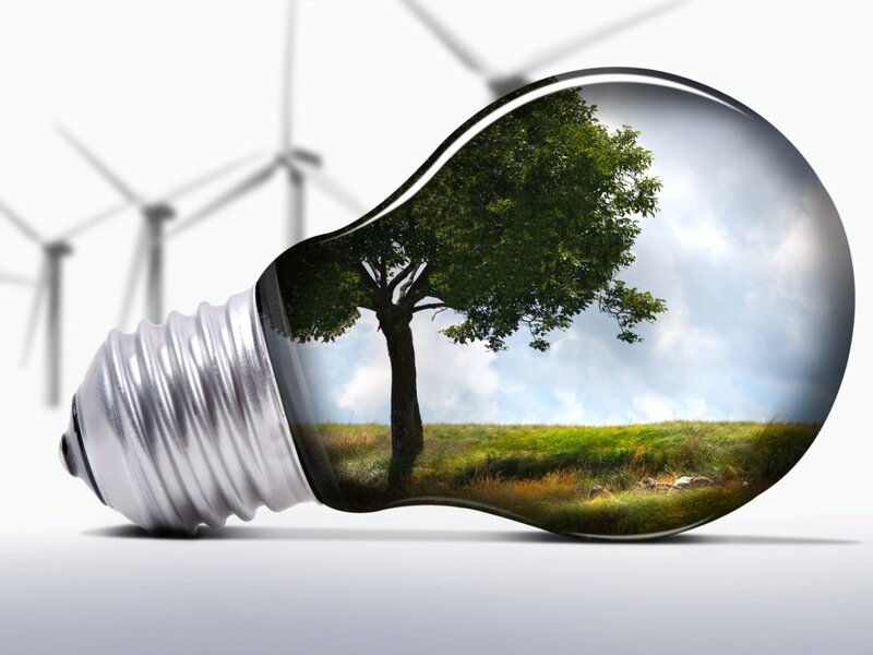 Tree Inside Light Bulb
