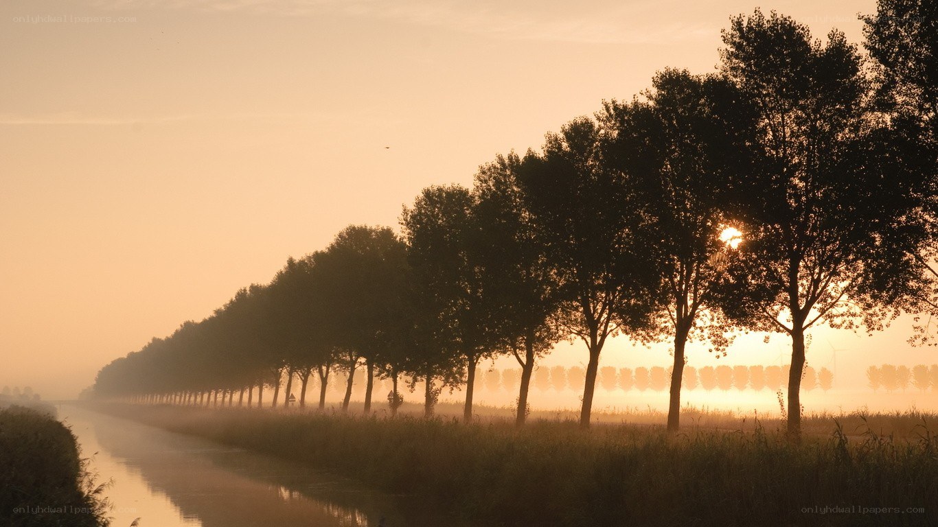 Tree-lined canal at sunrise