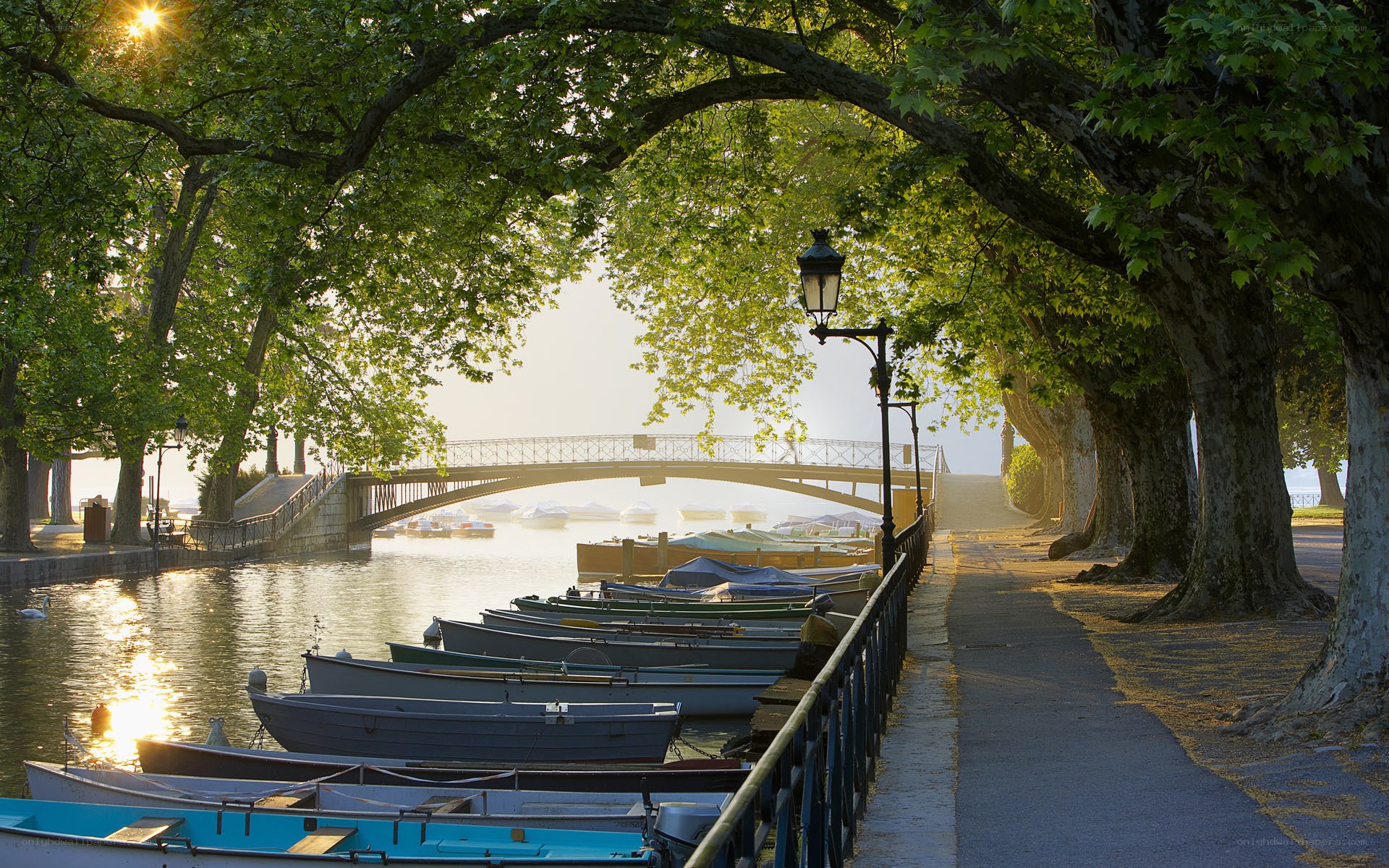 Tree-lined canal at sunrise