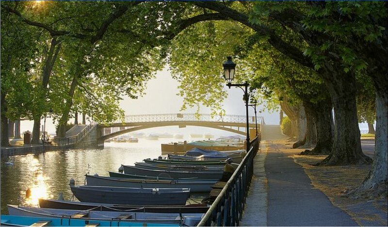 Tree-lined canal with boats