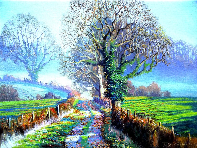 Tree-lined Country Path — Green