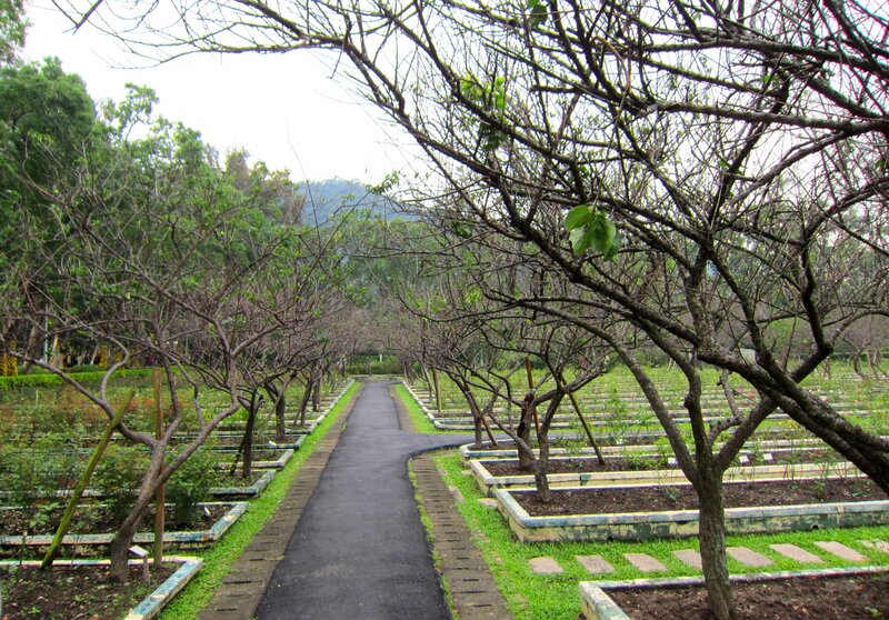 Tree-lined Garden Path — Green, Serene, Spring