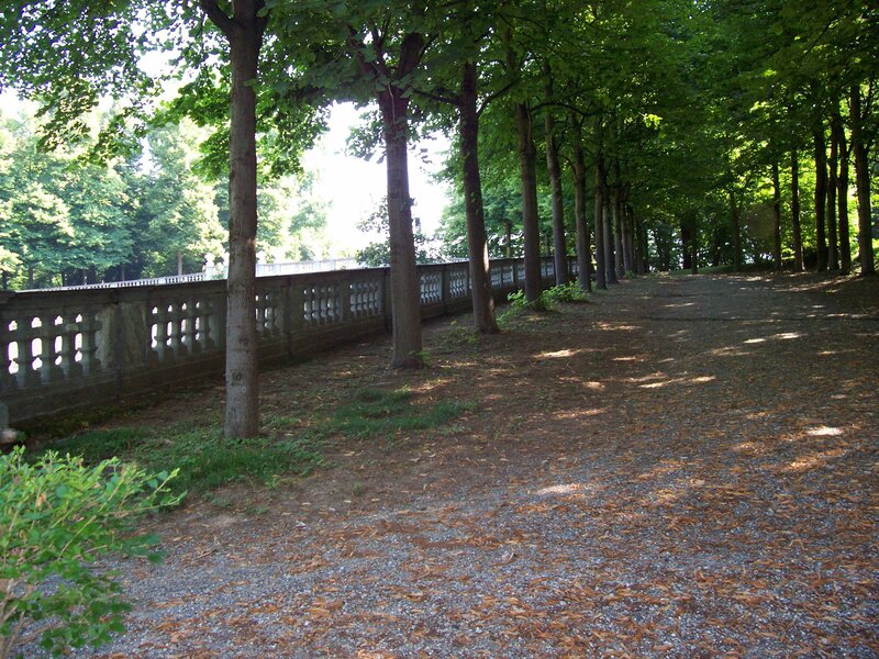 Tree-lined Gravel Path — Green