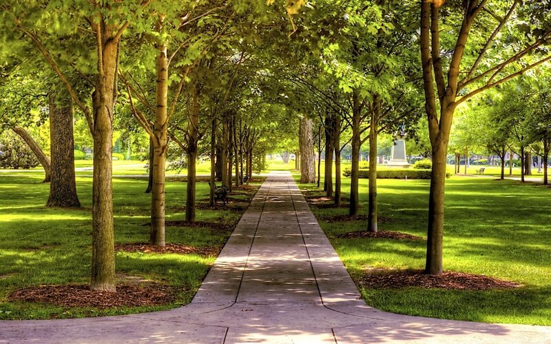 Tree-lined Park Path — Green, Serene, Afternoon, Photograph, Trees, Grass, Benches, Brown, Gray