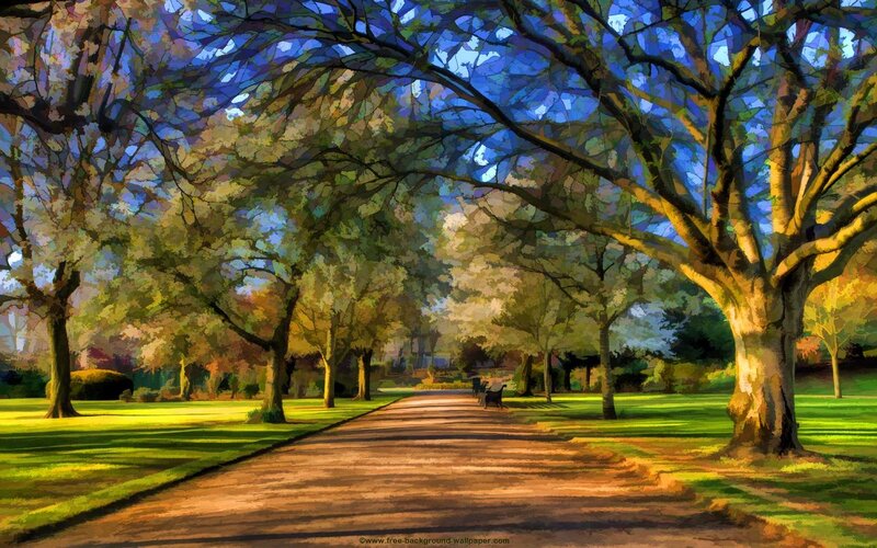 Tree-lined Park Path — Green, Serene, Afternoon