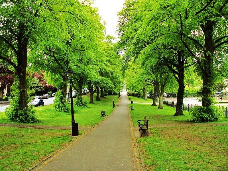 Tree-lined Park Path — Green, Serene, Spring, Photograph, Benches