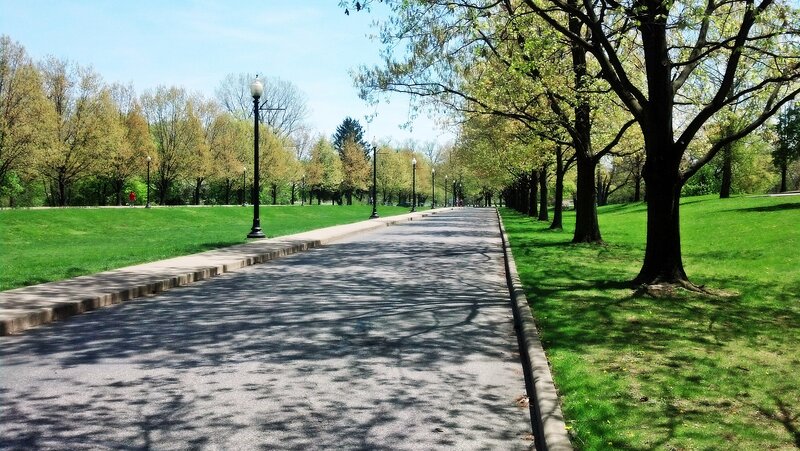 Tree-lined Park Path — Green, Serene, Spring