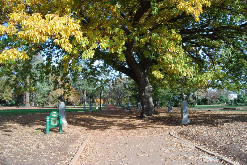 Tree-lined Park Path — Green