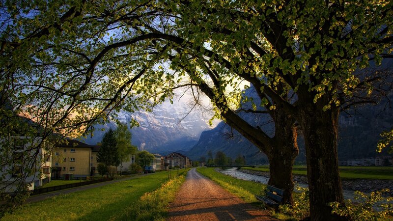 Tree-lined Path and Mountains