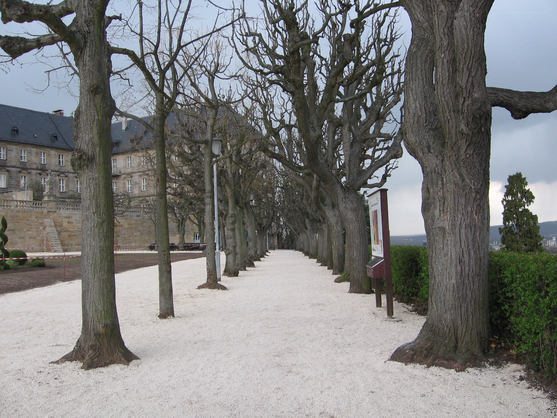 Tree-lined path at a historic estate