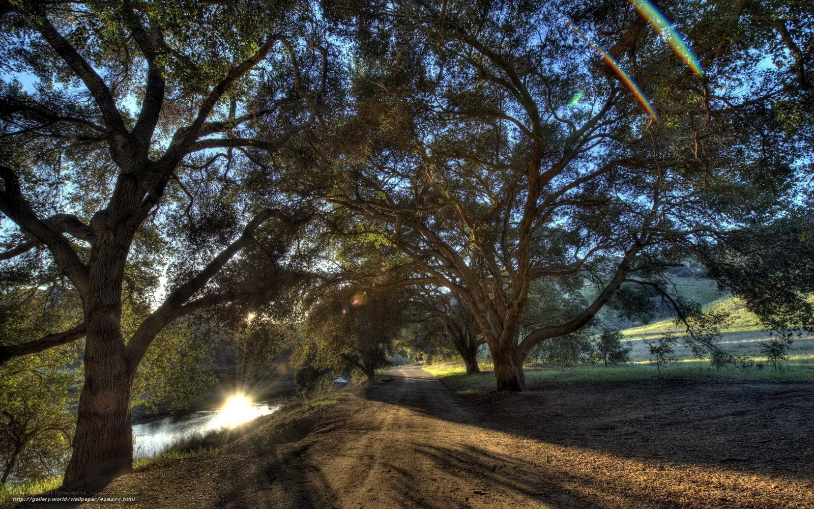 Tree-lined path by a river