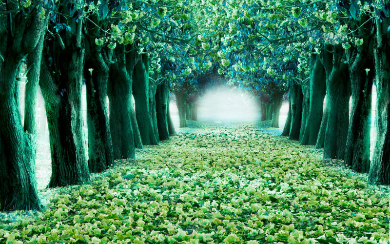Tree-lined Path — Green, Serene, Morning, Digital Art