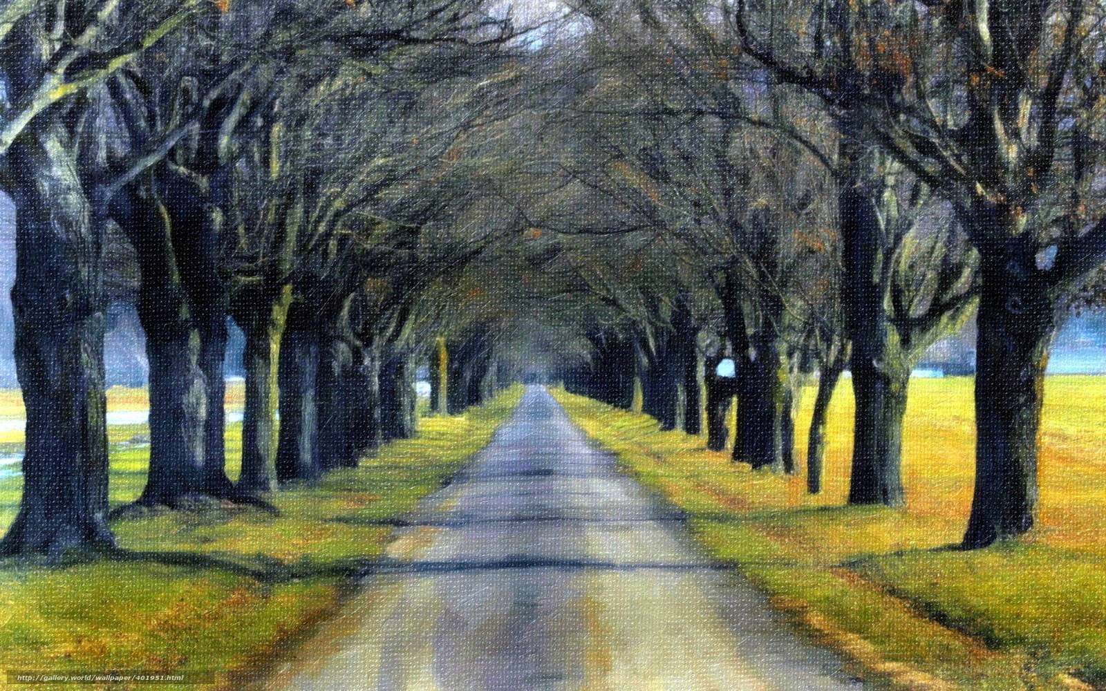 Tree-lined path in autumn