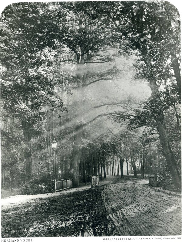 Tree-lined Path in Park — Black