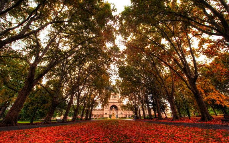 Tree-lined Path to Building — Red