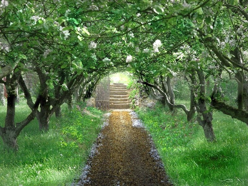 tree-lined path to stairs