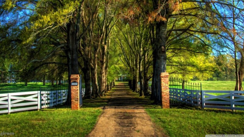 Tree-lined Path with Fence