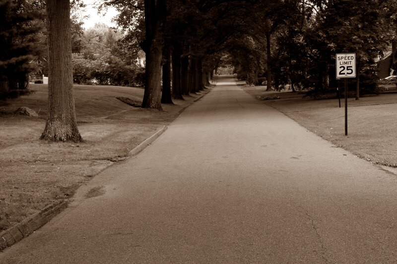 Tree-lined Residential Street — Brown