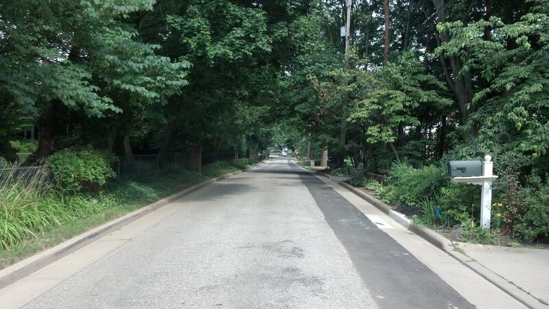 Tree-lined Residential Street — Green, Calm, Afternoon, Photograph