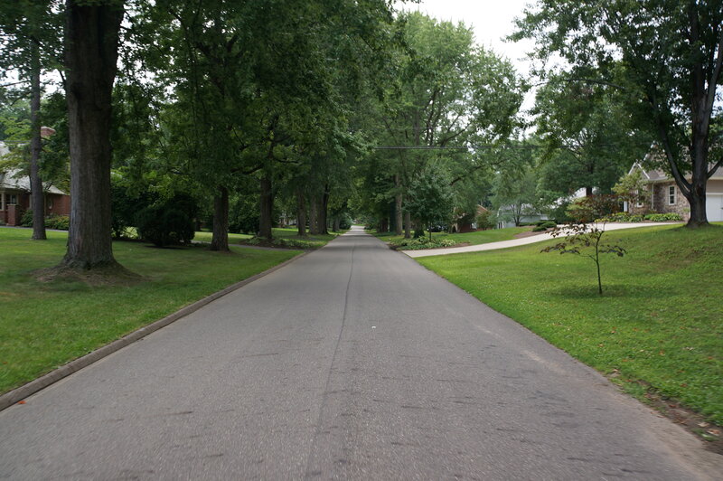 Tree-lined Residential Street — Green, Calm, Afternoon