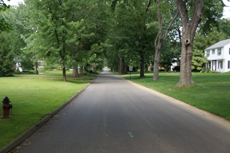 Tree-lined Residential Street — Green, Calm