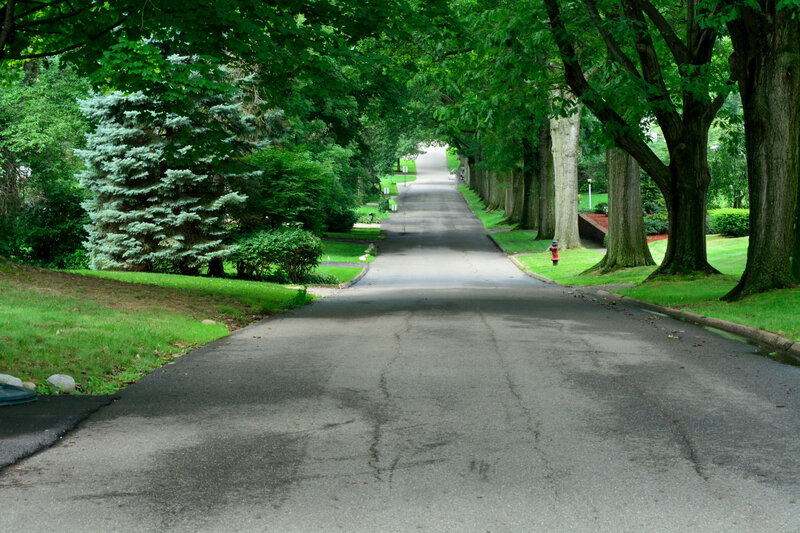 Tree-lined Residential Street — Green, Serene, Afternoon, Photograph, Fire Hydrant, Trees