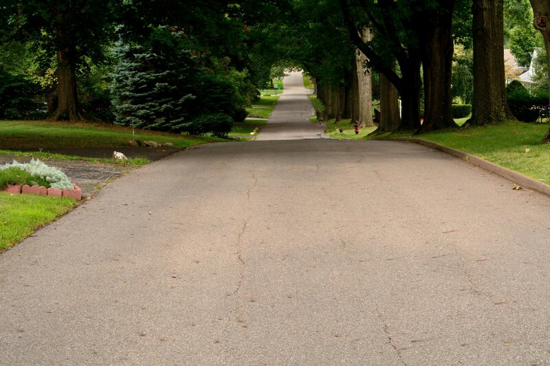 Tree-lined Residential Street — Green, Serene, Afternoon, Photograph, Trees