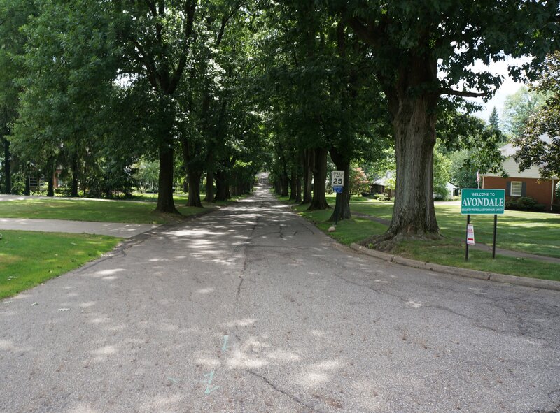 Tree-lined Residential Street — Green, Serene, Afternoon