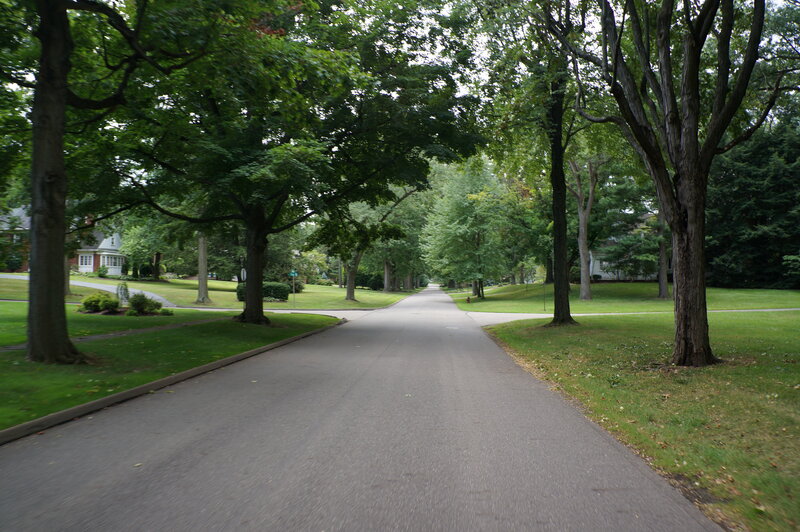Tree-lined Residential Street — Green, Serene, Summer