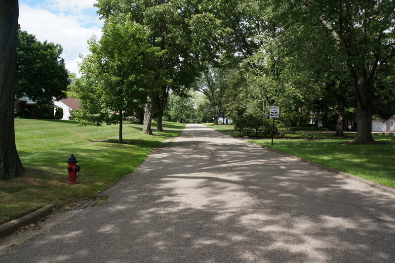 Tree-lined Residential Street — Green