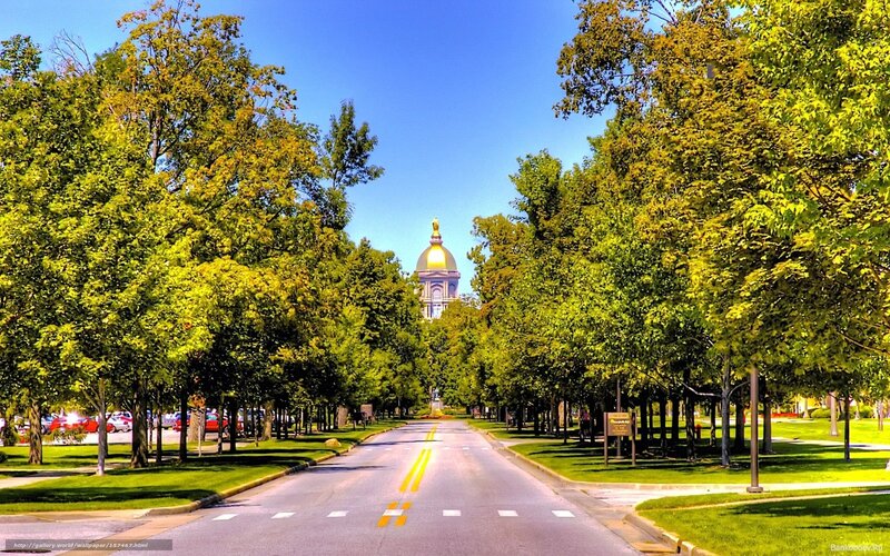 Tree-lined road to capitol building