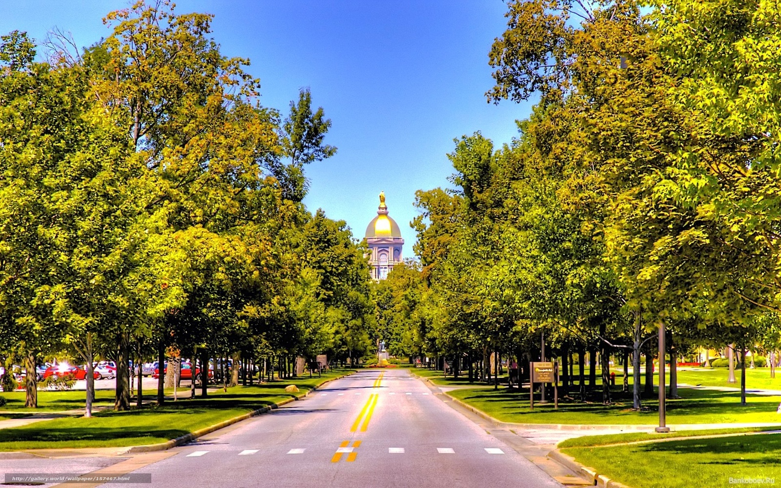 Tree-lined road to capitol building