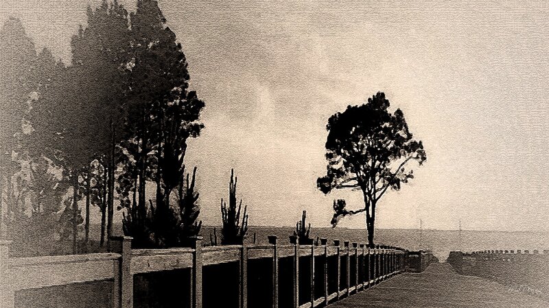 Tree-lined Road with Fence