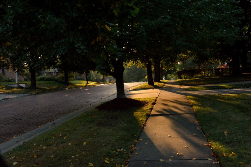Tree-lined Sidewalk — Green, Serene