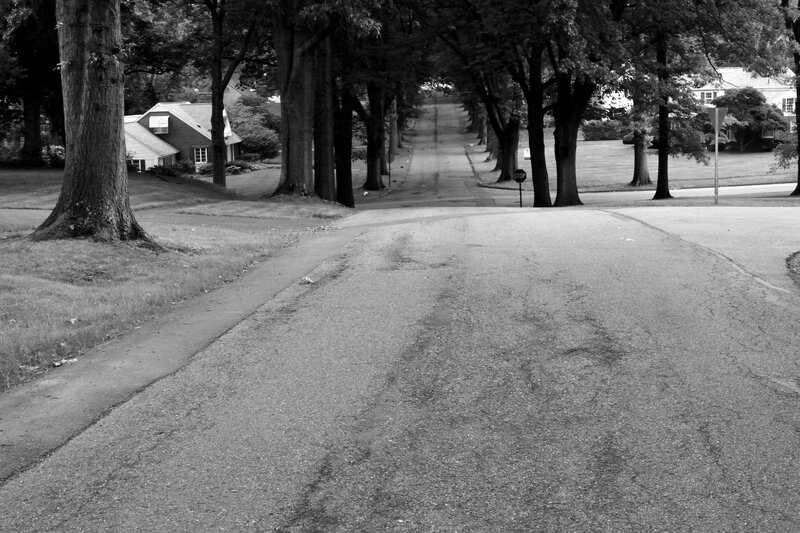 Tree-lined Street — Black, Serene