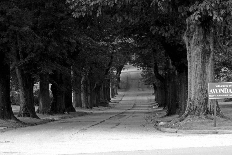Tree-lined Street — Black