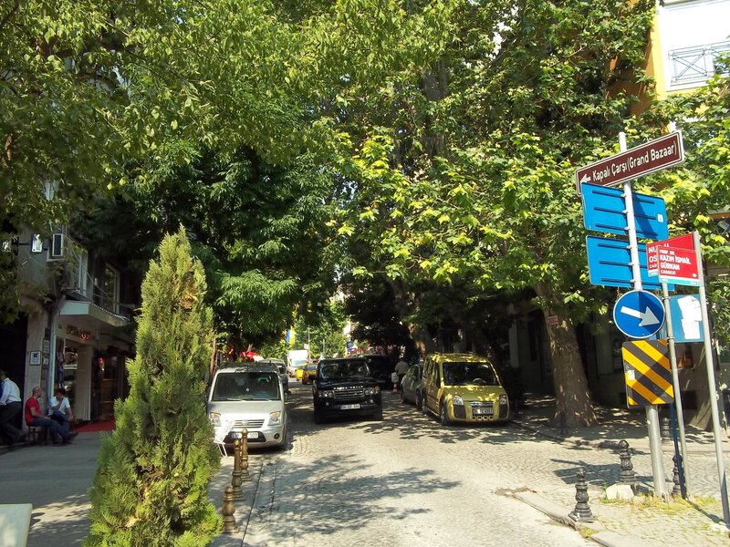 tree-lined street in Istanbul