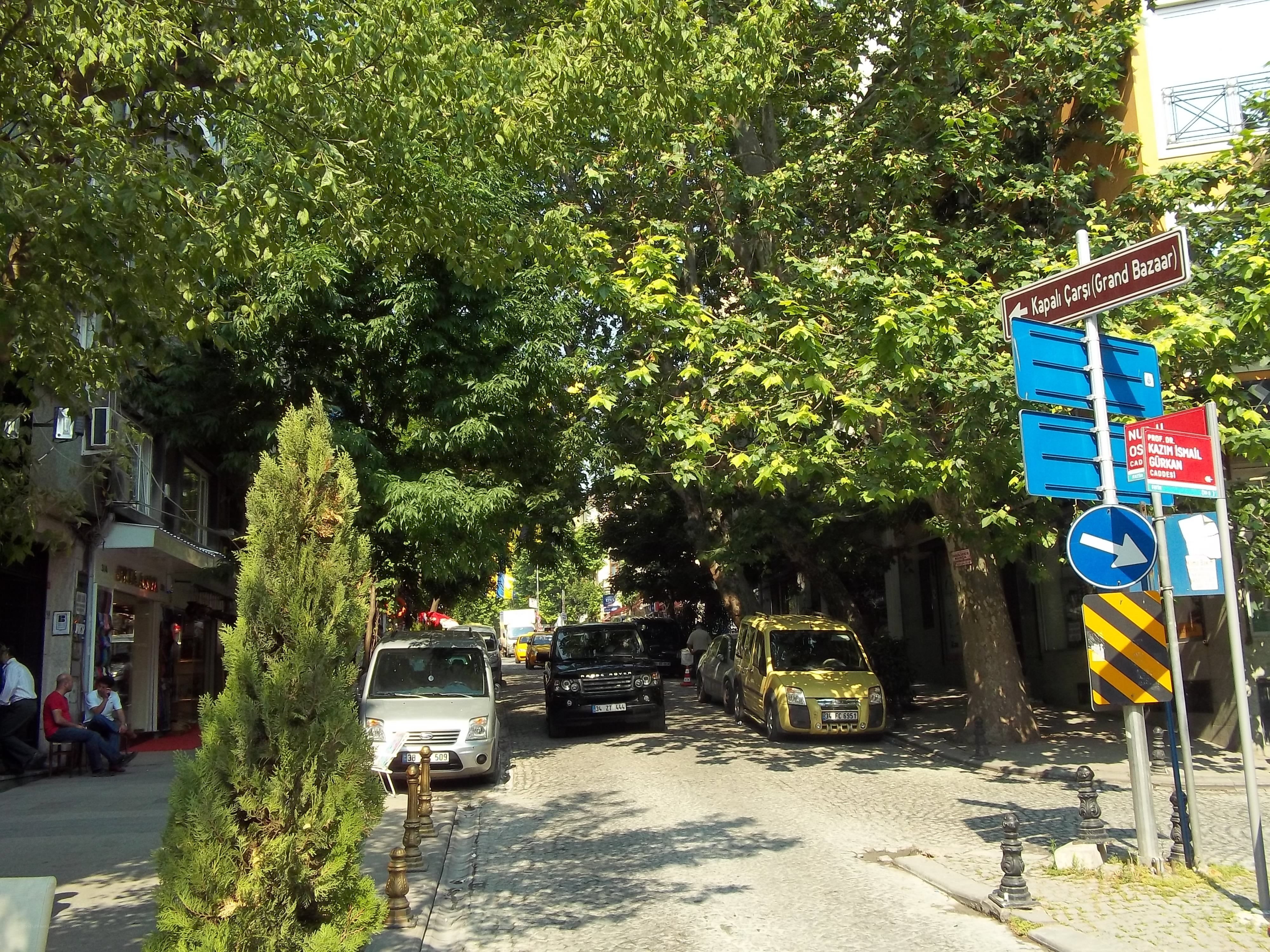 tree-lined street in Istanbul