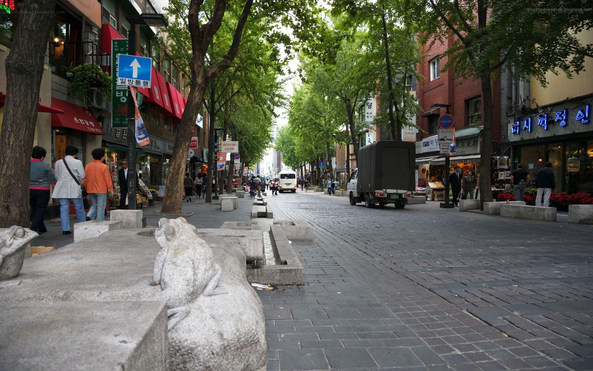 tree-lined street in Seoul