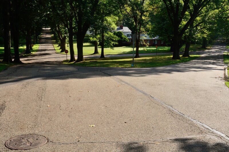 Tree-lined Street Intersection