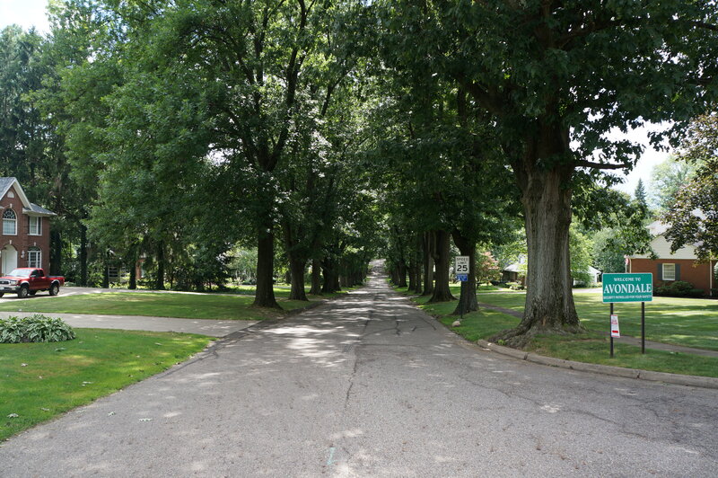 Tree-lined Street