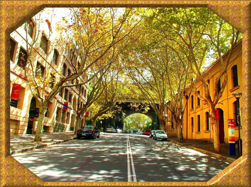 Tree-lined Street with Cars — Yellow